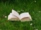 Na zdjęciu otwarta książka na zielonej trawie wśród białych stokrotek