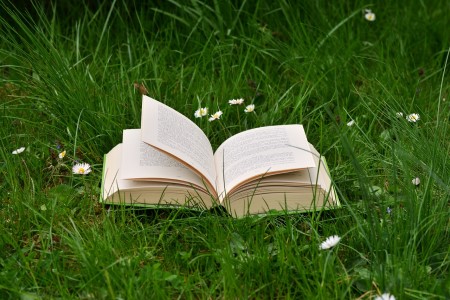 Na zdjęciu otwarta książka na zielonej trawie wśród białych stokrotek