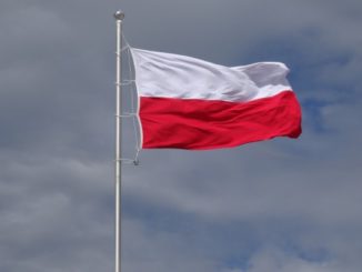 Na tle niebieskiego nieba powiewająca na maszcie biało czerowna flaga Polski