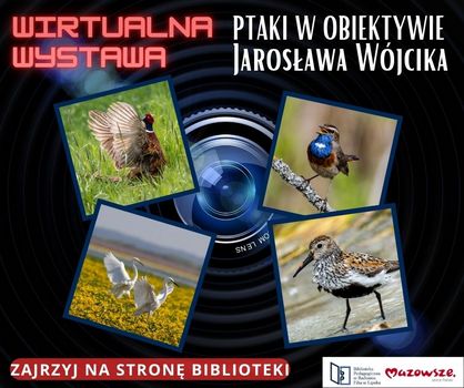 Ptaki w obiektywie Jarosława Wójcika - wystawa online